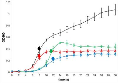 Iron Regulation in Clostridioides difficile